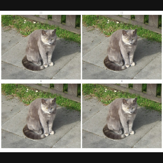 Bild001