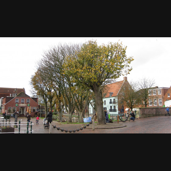 Bild012