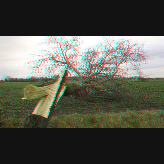 Bild001