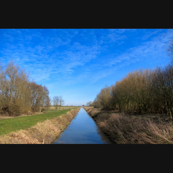 Bild001