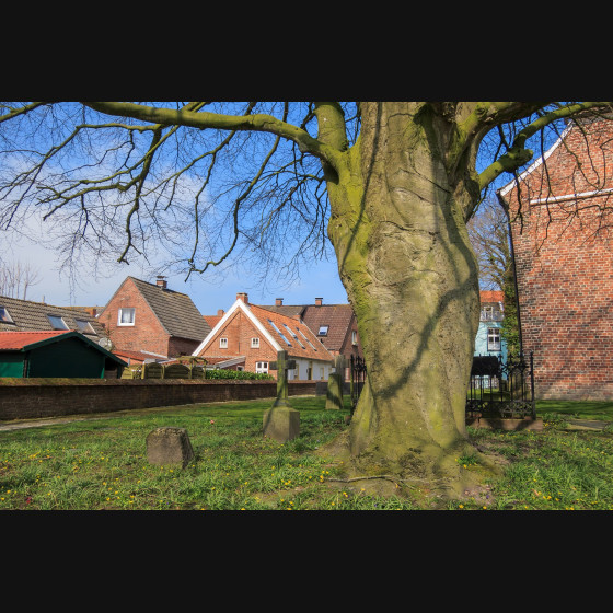 Bild022