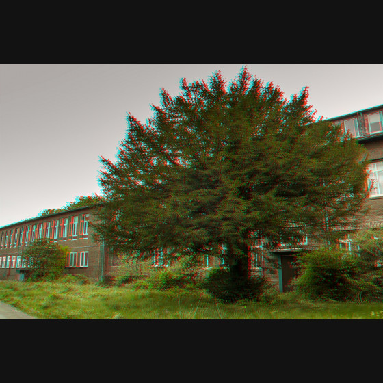 Bild010