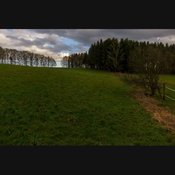 Bild003