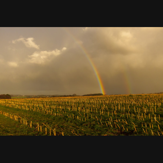 Bild011