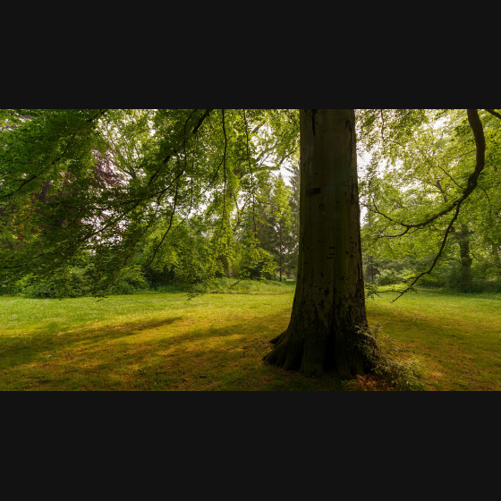 Bild010