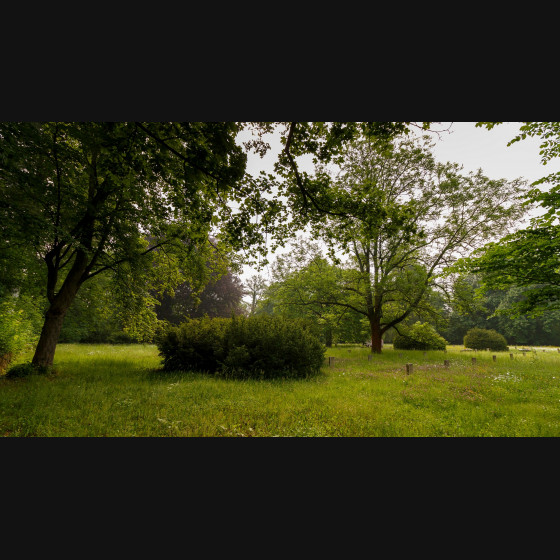 Bild011