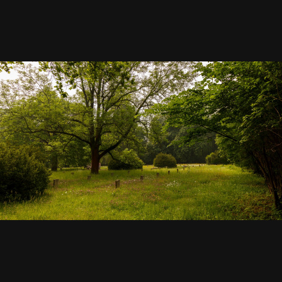 Bild012