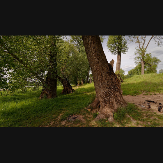 Bild002