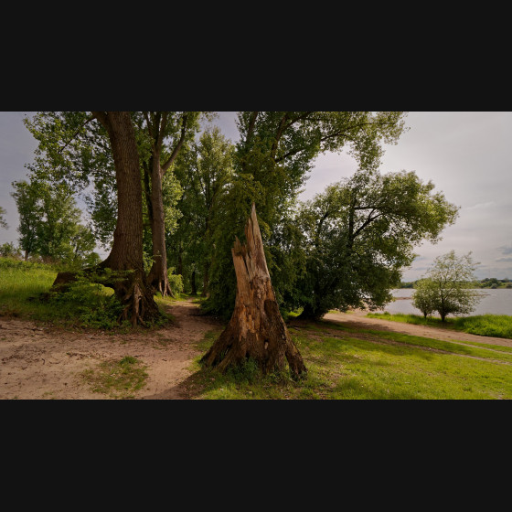 Bild004