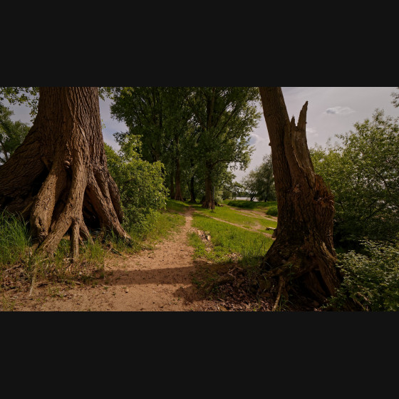 Bild005