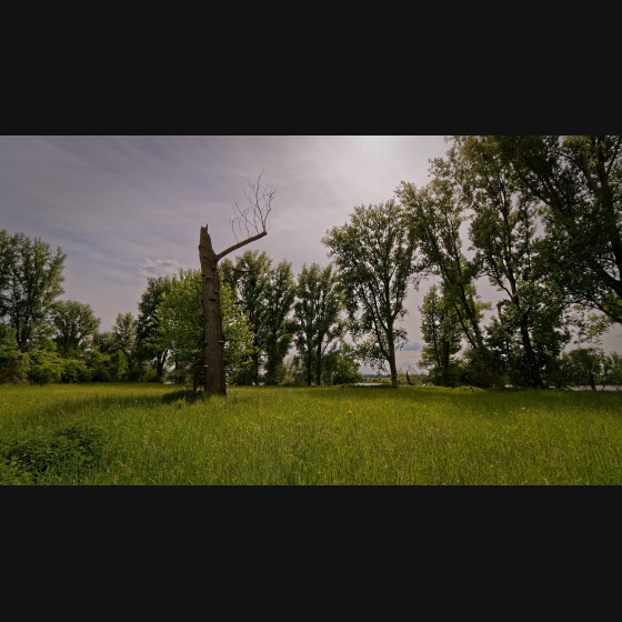 Bild006