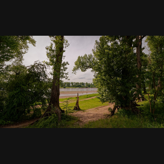 Bild008