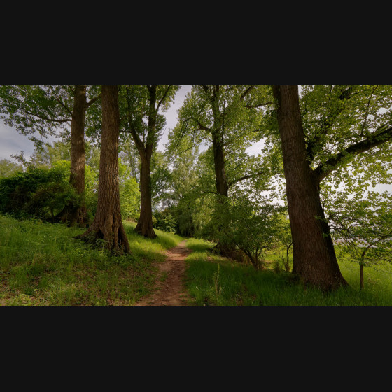 Bild011