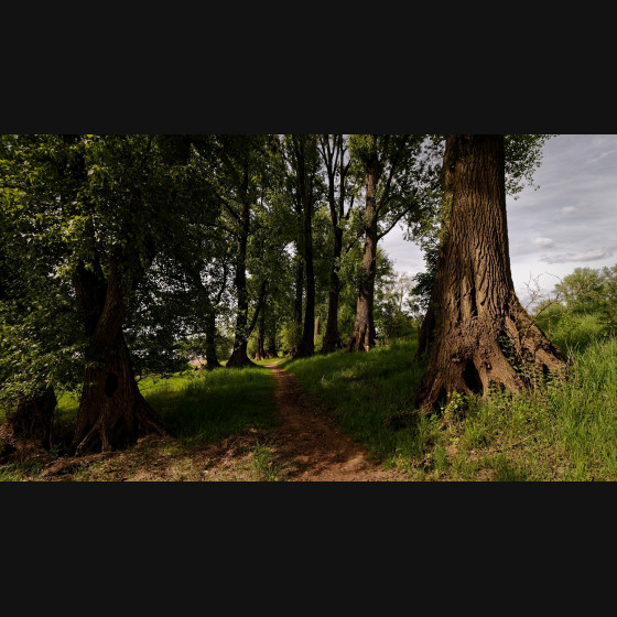 Bild013