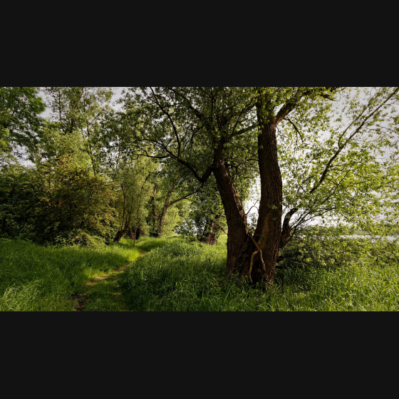 Bild014