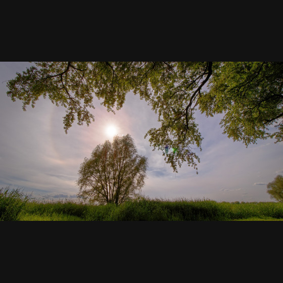 Bild018