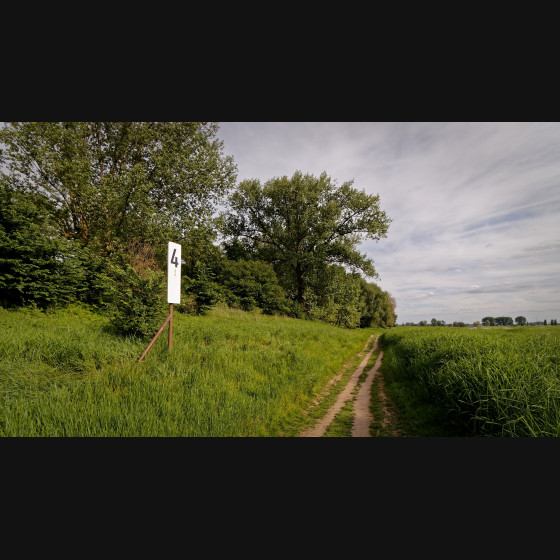 Bild019