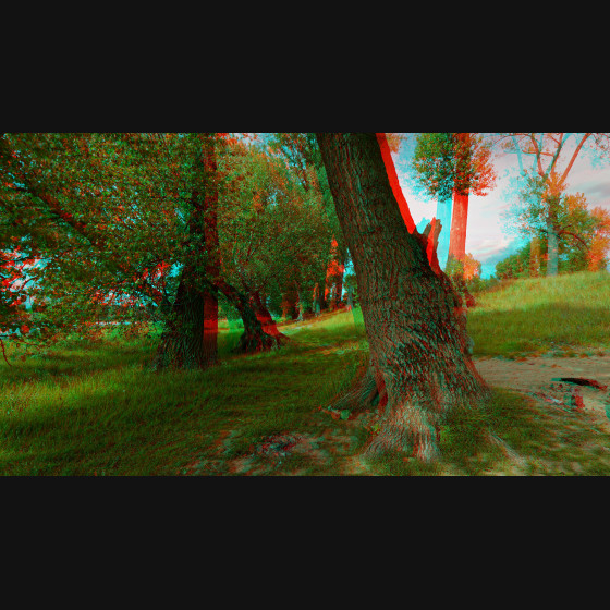 Bild002