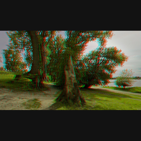 Bild004