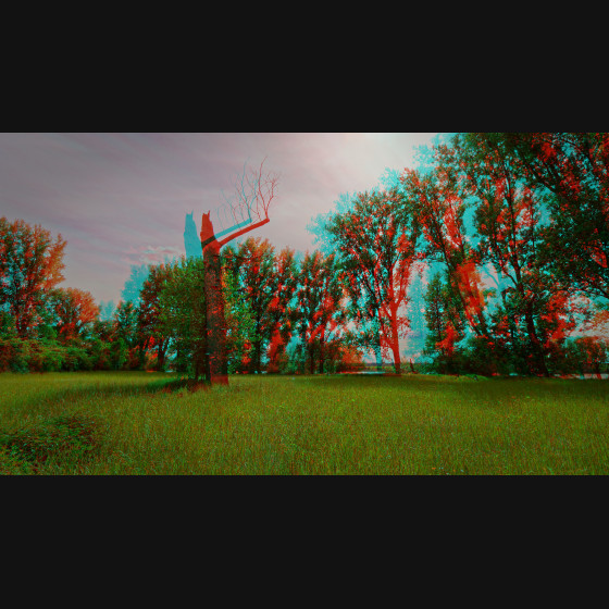 Bild006
