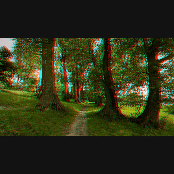Bild009