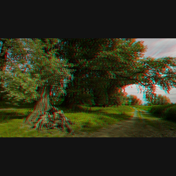 Bild010