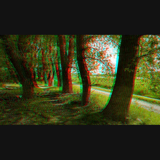 Bild017