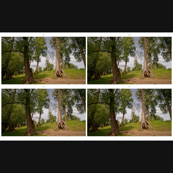 Bild001