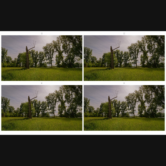 Bild006