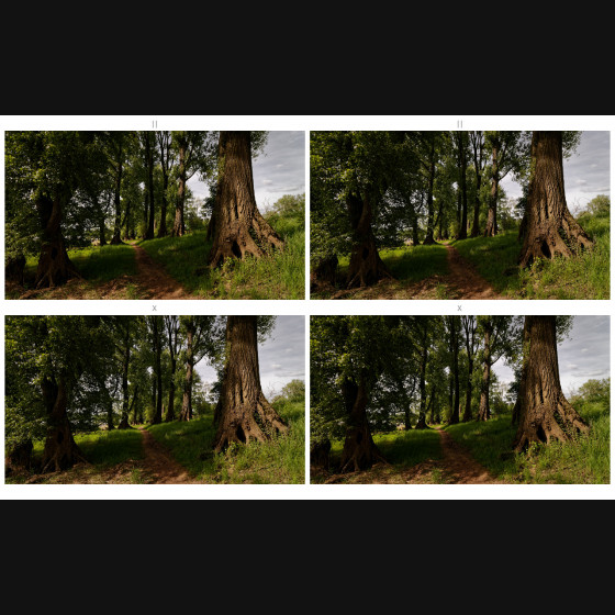 Bild013