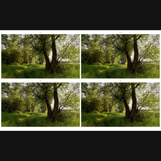 Bild014