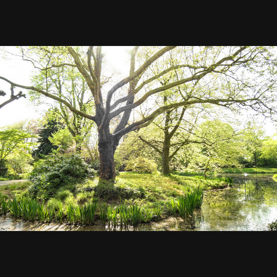 Bild001