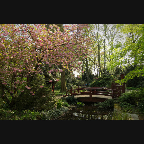 Bild002