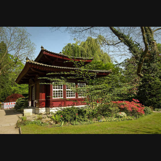 Bild006