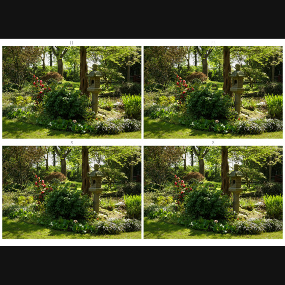 Bild005
