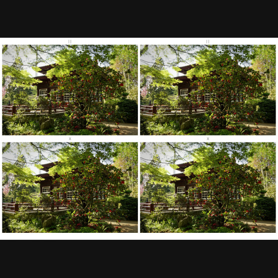 Bild009
