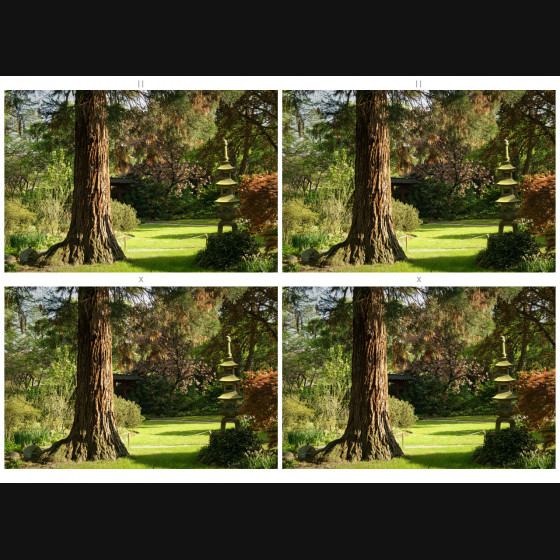 Bild010
