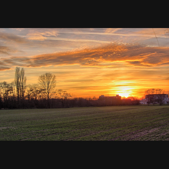Bild002
