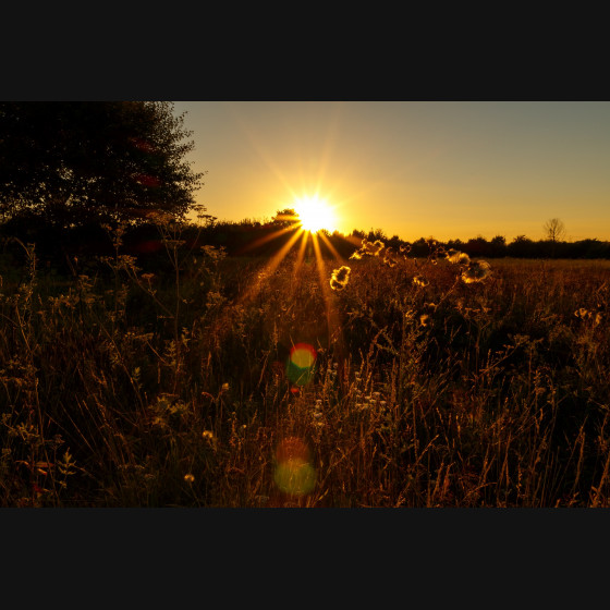 Bild011