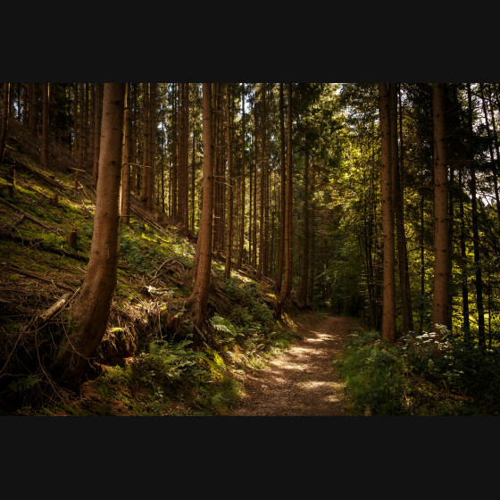 Bild012