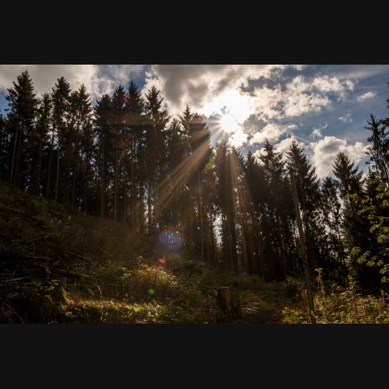 Bild013